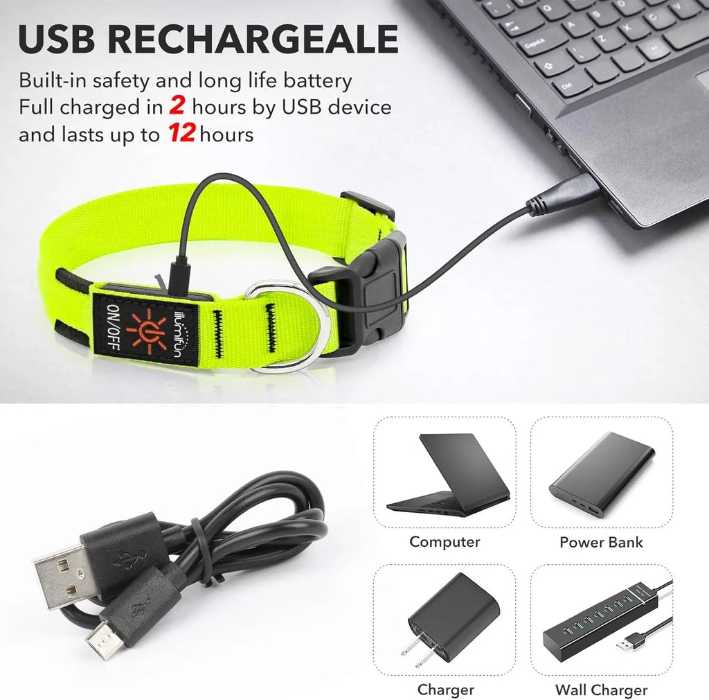 LED Dog Collar Rechargeable Light-Up Safety Collar for Night Walking (colors)