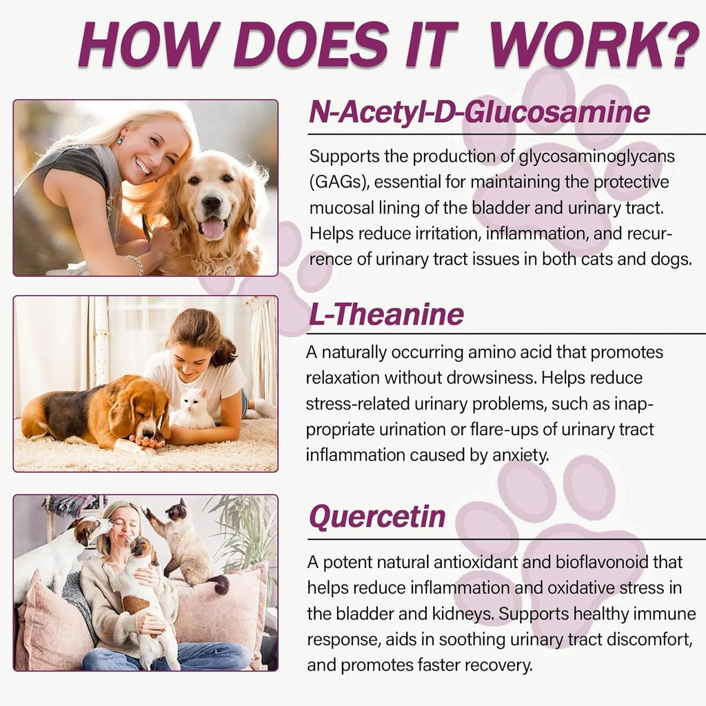 Pet Urinary Tract Support Capsules Cat Dog Bladder Kidney Health Supplement